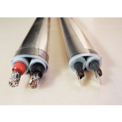 画像2: 限定商品　ＴＨＥ　ＥａｒｔｈＷ2.5　ショートキット（Ｆアネ）