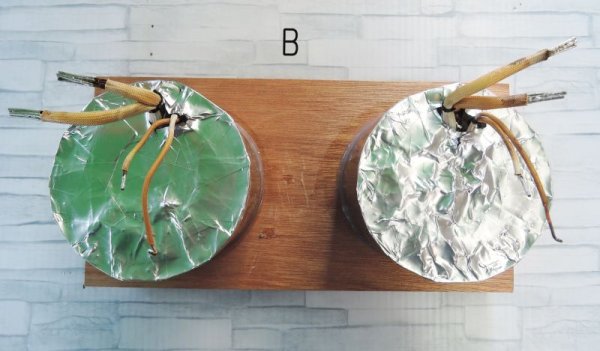 画像2: TOSベーシック (2)
