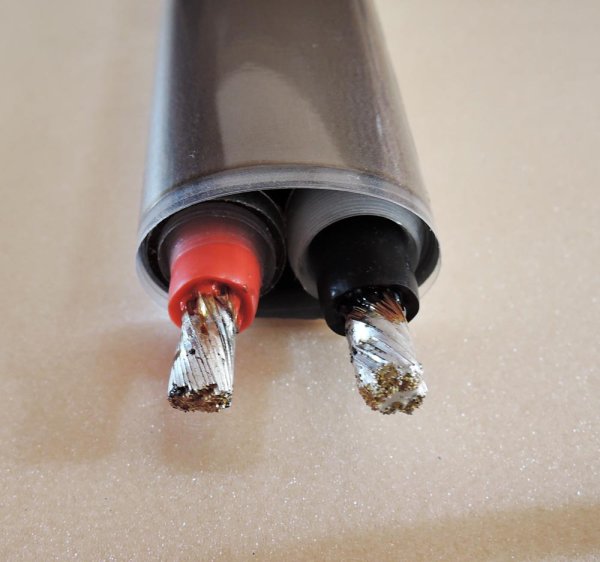 画像2: 限定商品　ＴＨＥ　Ｅａｒｔｈ1.25　ショートキット（Ｆアネ） (2)